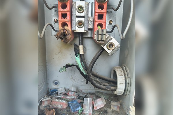 Painting - Coco's Home Improvement